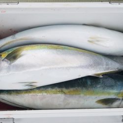 遊漁船 ニライカナイ 釣果