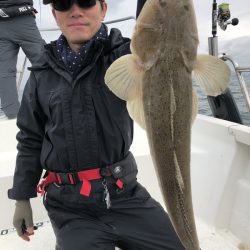 Magic（マジック） 釣果