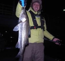 シーマジカル 釣果