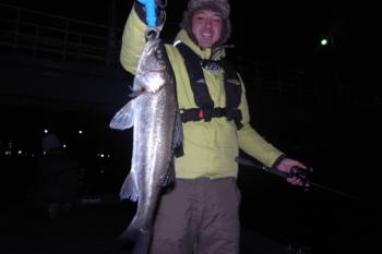 シーマジカル 釣果