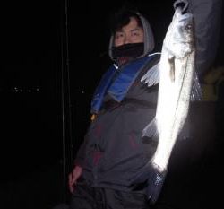 シーマジカル 釣果