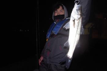 シーマジカル 釣果