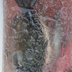 伊豆下田フィッシング 釣果