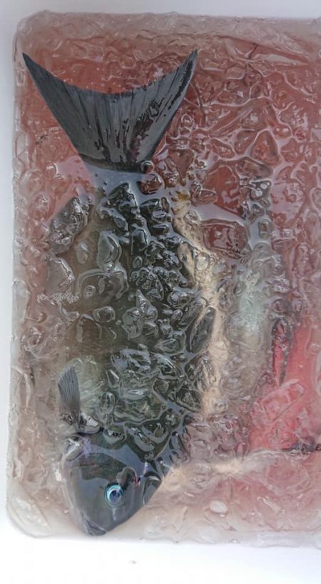 伊豆下田フィッシング 釣果