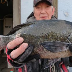 伊豆下田フィッシング 釣果