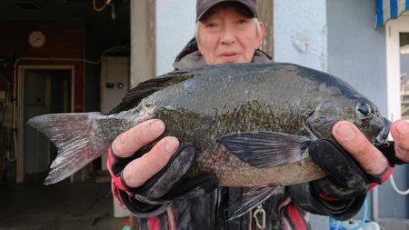 伊豆下田フィッシング 釣果