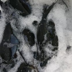 伊豆下田フィッシング 釣果