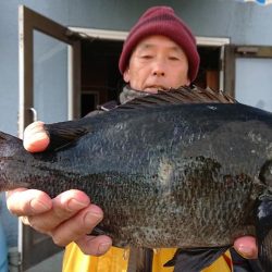 伊豆下田フィッシング 釣果