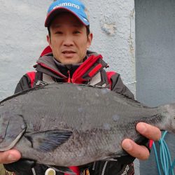 伊豆下田フィッシング 釣果