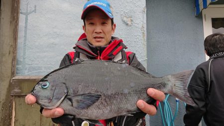 伊豆下田フィッシング 釣果