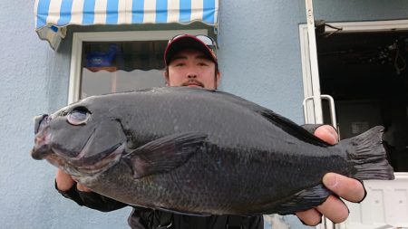 伊豆下田フィッシング 釣果