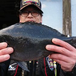 伊豆下田フィッシング 釣果