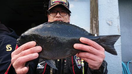 伊豆下田フィッシング 釣果