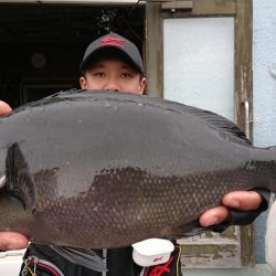 伊豆下田フィッシング 釣果