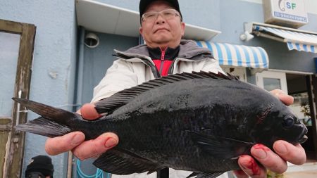 伊豆下田フィッシング 釣果