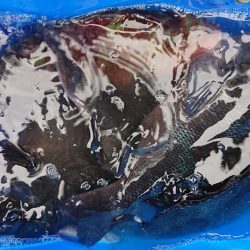 伊豆下田フィッシング 釣果