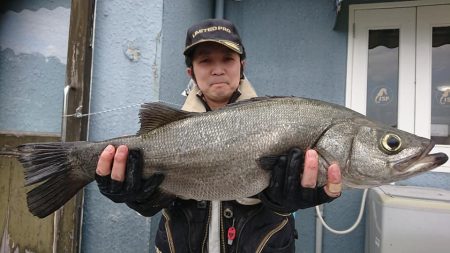 伊豆下田フィッシング 釣果