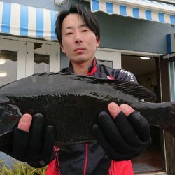 伊豆下田フィッシング 釣果