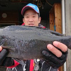 伊豆下田フィッシング 釣果