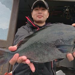 伊豆下田フィッシング 釣果