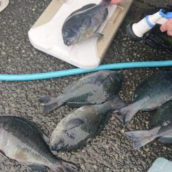 伊豆下田フィッシング 釣果