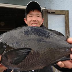 伊豆下田フィッシング 釣果