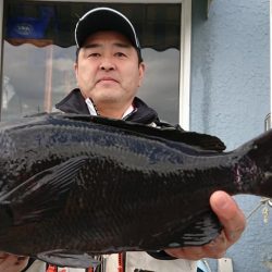 伊豆下田フィッシング 釣果