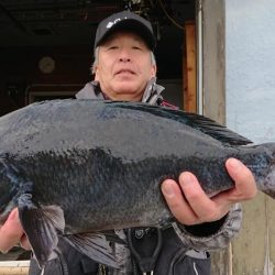 伊豆下田フィッシング 釣果