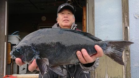 伊豆下田フィッシング 釣果