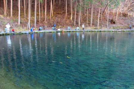 小菅トラウトガーデン 釣果