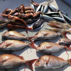 ふじしめ丸 釣果