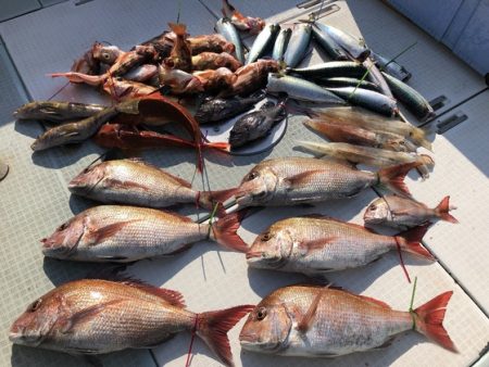 ふじしめ丸 釣果