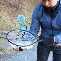 小菅トラウトガーデン 釣果