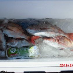 大進丸(新潟) 釣果