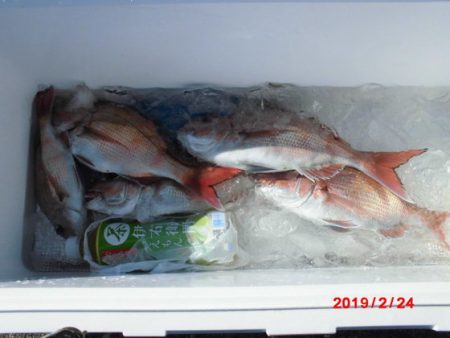 大進丸(新潟) 釣果