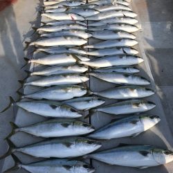 寿裕 (YOSHIHIRO) 釣果