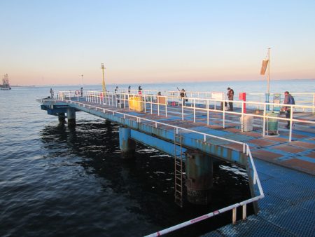 オリジナルメーカー海づり公園(市原市海づり施設) 釣果
