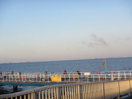 オリジナルメーカー海づり公園(市原市海づり施設) 釣果