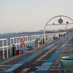 オリジナルメーカー海づり公園(市原市海づり施設) 釣果