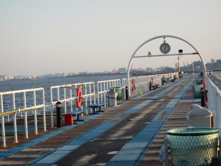 オリジナルメーカー海づり公園(市原市海づり施設) 釣果