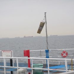 オリジナルメーカー海づり公園(市原市海づり施設) 釣果