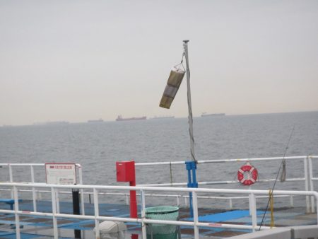 オリジナルメーカー海づり公園(市原市海づり施設) 釣果