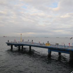 オリジナルメーカー海づり公園(市原市海づり施設) 釣果
