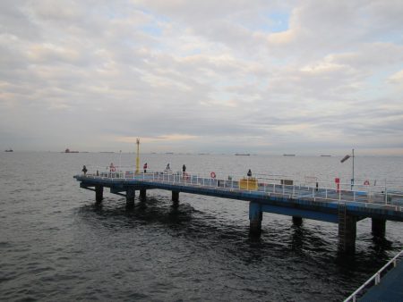 オリジナルメーカー海づり公園(市原市海づり施設) 釣果