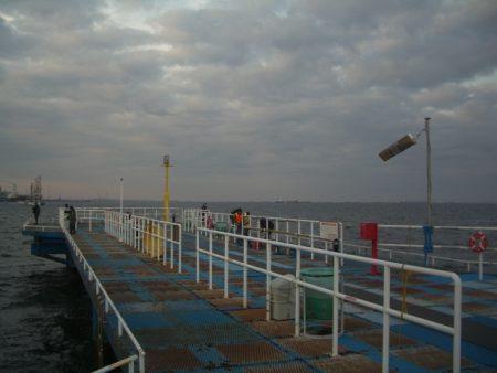 オリジナルメーカー海づり公園(市原市海づり施設) 釣果