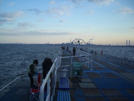 オリジナルメーカー海づり公園(市原市海づり施設) 釣果