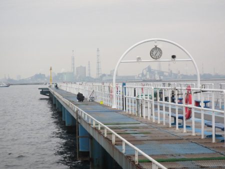 オリジナルメーカー海づり公園(市原市海づり施設) 釣果