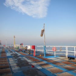 オリジナルメーカー海づり公園(市原市海づり施設) 釣果