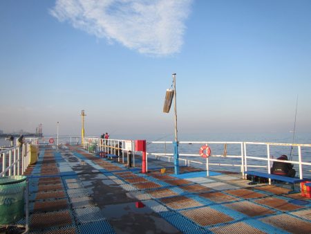 オリジナルメーカー海づり公園(市原市海づり施設) 釣果