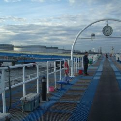 オリジナルメーカー海づり公園(市原市海づり施設) 釣果